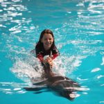 İstanbul Dolphinarium