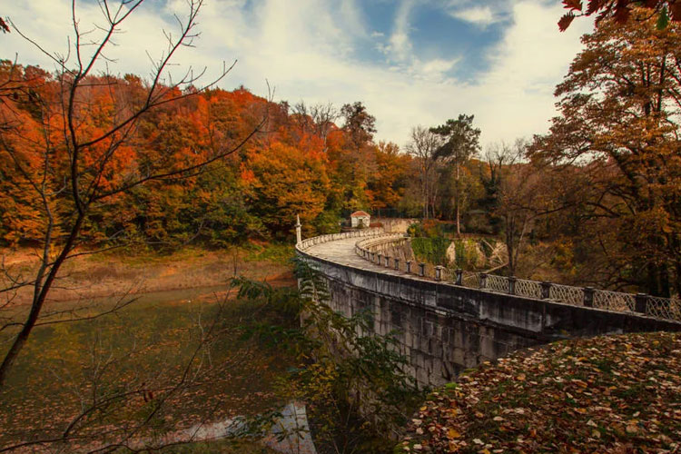 forêt de Belgrad