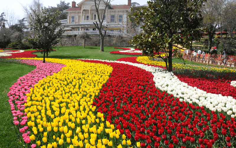 Festival de la Tulipe Istanbul